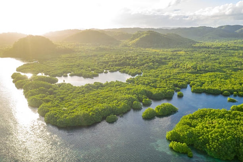 Foto: Reprodução/Istock